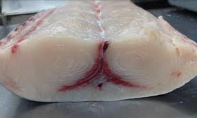 Mercury filled Swordfish