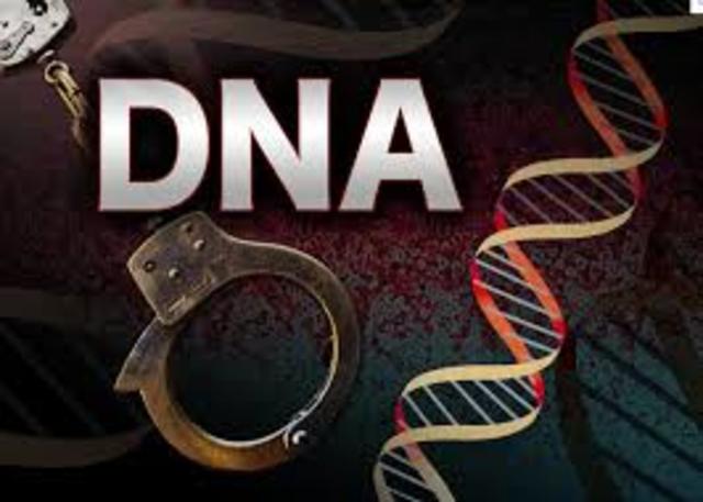 DNA is used to convict criminals