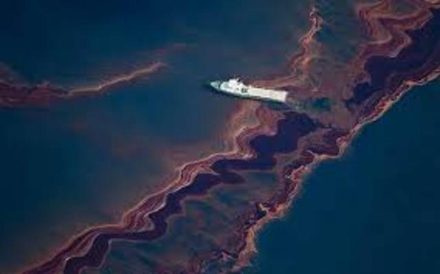 Gulf of Mexico Oil Spill