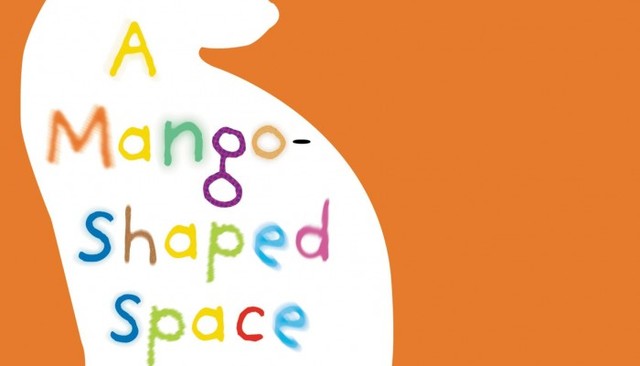 Summer Reading Novel (A Mango Shaped Space)