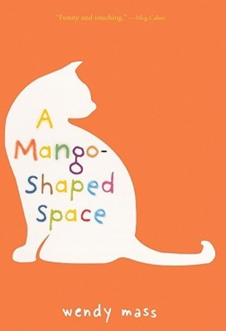 Summer Reading Novel: A Mango Shaped Space