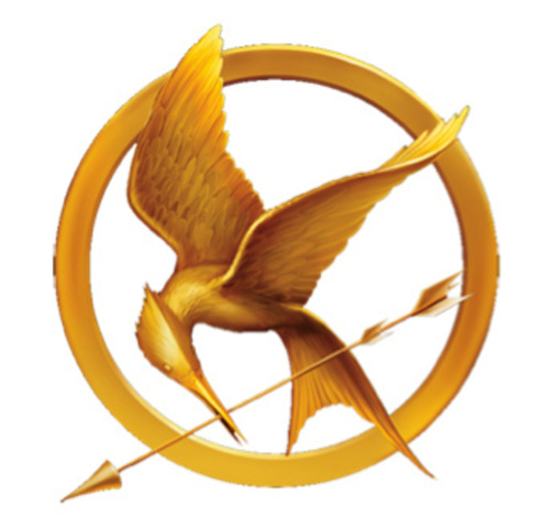 1st Workshop Novel - The Hunger Games