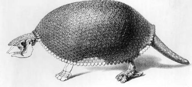 Punta Alta, Argentina