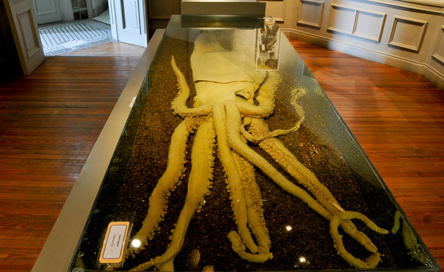 Un día en Pirámide