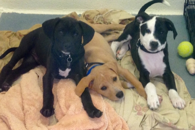 when i got something new