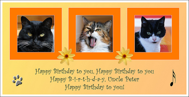 Blog: Could the photographer be sued for posting this photo-card on Flickr?