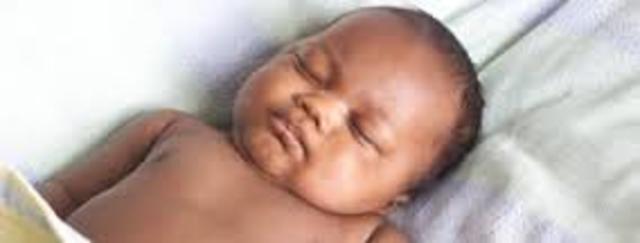 El nacimiento del campeón