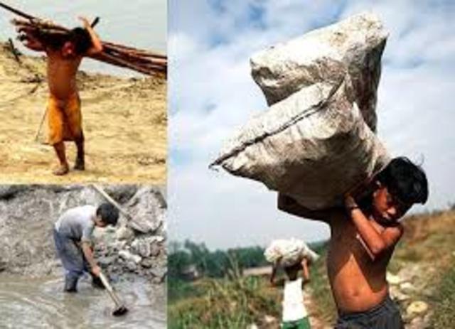 Resolución 3597 de 2013