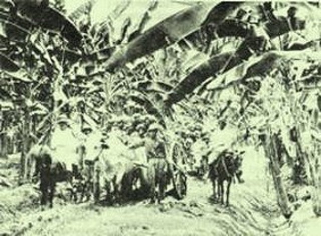 Masacre de las bananeras