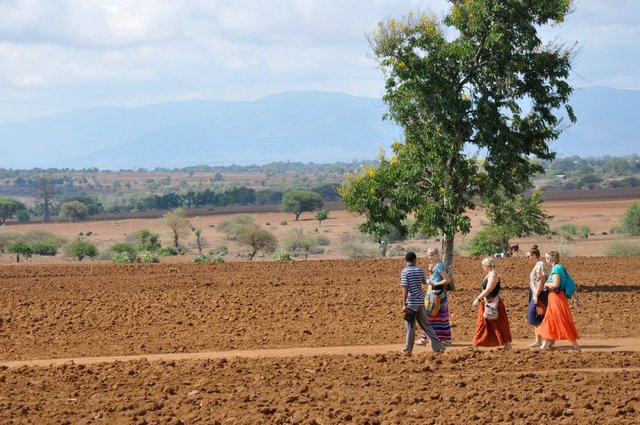 Arrive in Moshi Tanzania