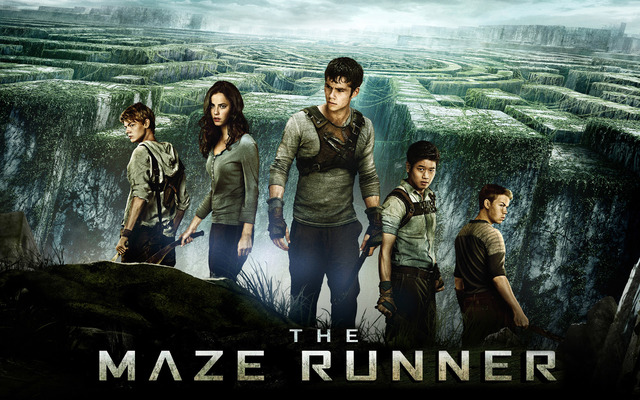 Lit circle novel - The Maze Runner