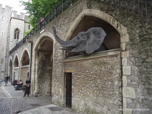 Torre zoo de tancament. Els animals es transfereixen a la nova Zoo Londres.