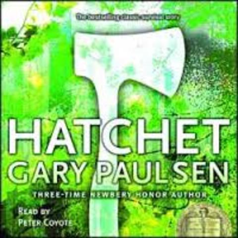 3rd Workshop Novel - Hatchet