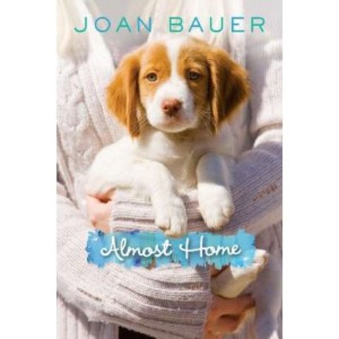 second workshop novel- Almost Home