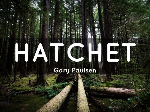 Lit. Circle Novel-Hatchet