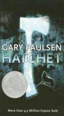 Lit circle novel- Hatchet