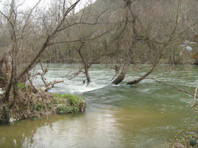Περιβαλλοντική εκδρομή στο Παρανέστι
