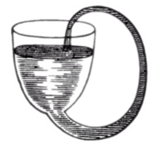 Siglo XX- Proceso de evaluación