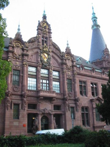 UNIVERSIDAD DE HEIDELBERG