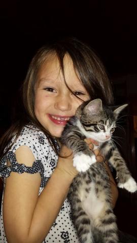 Industry vs. Inferiority