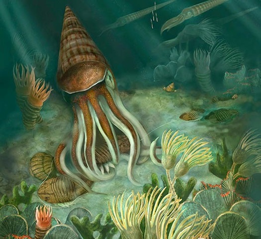 Ordovícico (paleozoica)