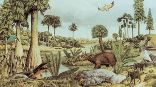 Terciario (cenozoica)