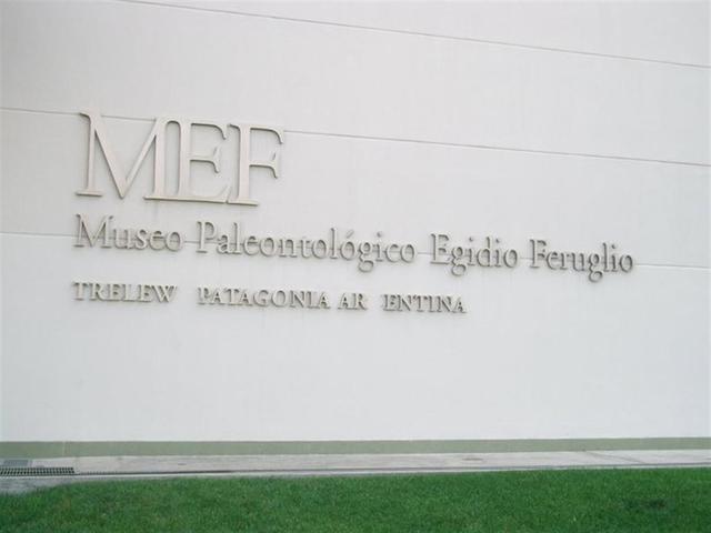 MUSEO PALEONTOLOGICO