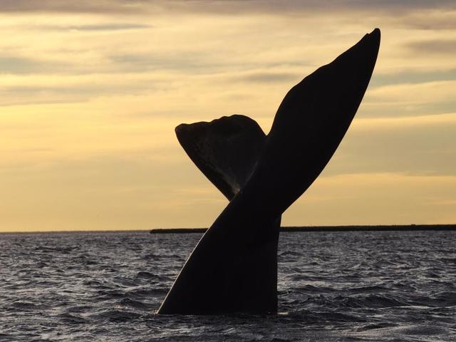 Bienvenidos a Puerto Madryn