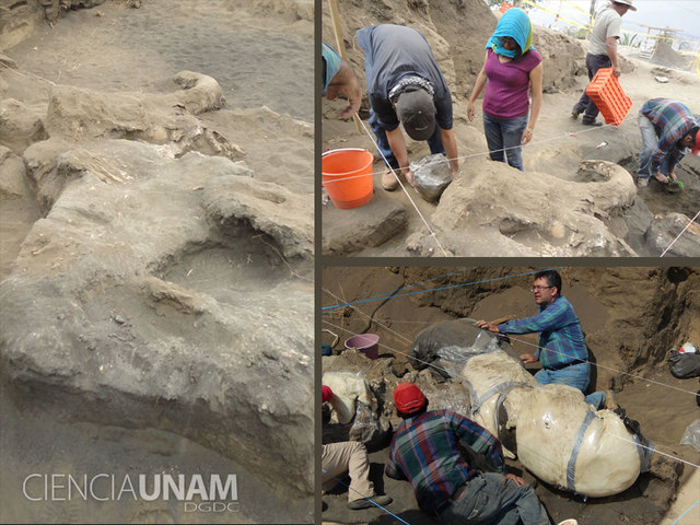 Día de la excavación