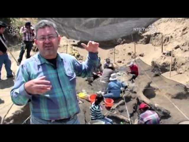 Día en que los expertos llegaron al lugar