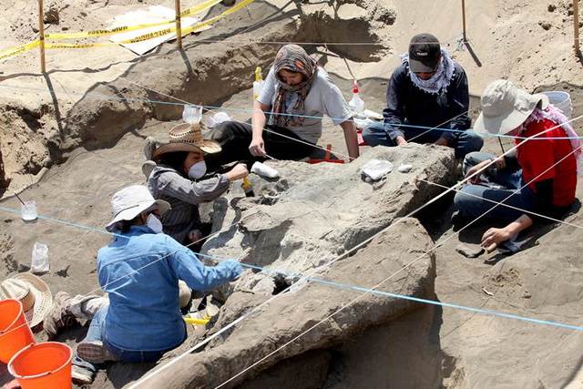 Estudios Geofísicos