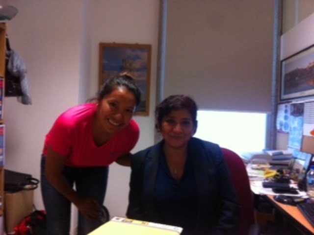 Entrevistas con expertos