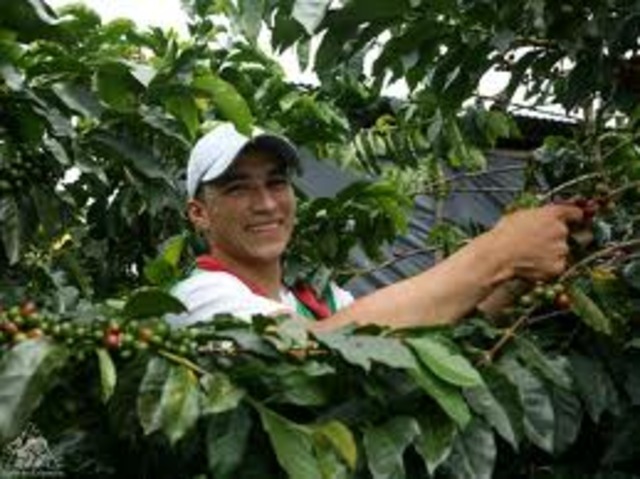 La Resurrección del Café