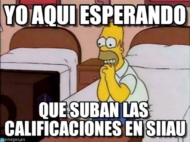 Calificaciones en el SIAUU