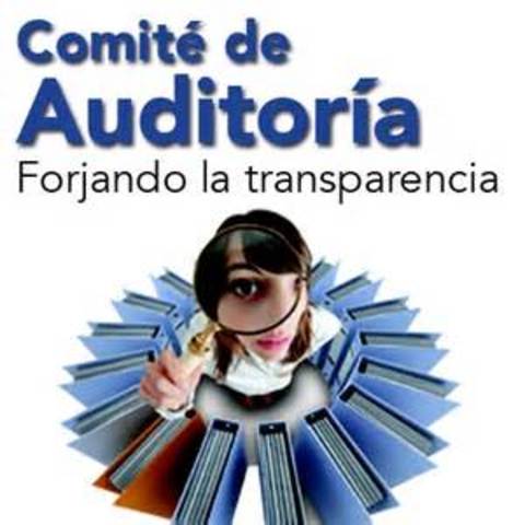 Comités de Auditoría