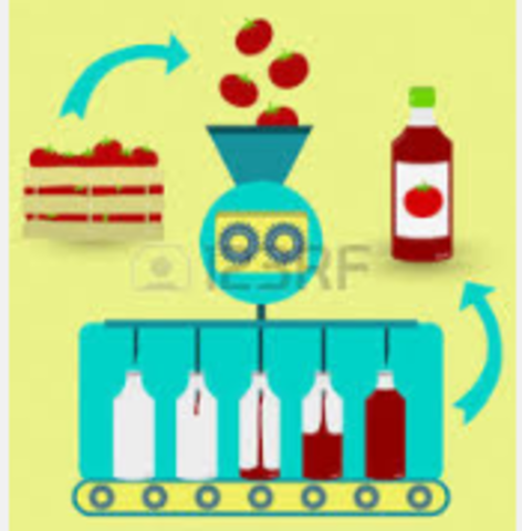 Etapa 2 - Orientación al Proceso