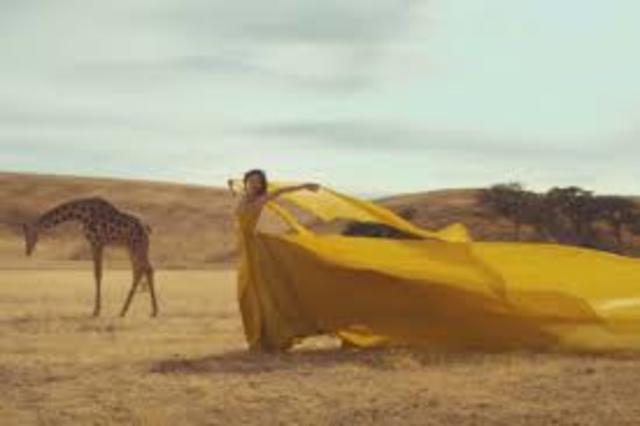 Wildest Dreams-Taylor Swift