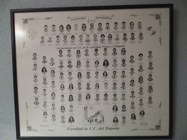 LICENCIADO EN CC. ACTIVIDAD FÍSICA Y EL DEPORTE