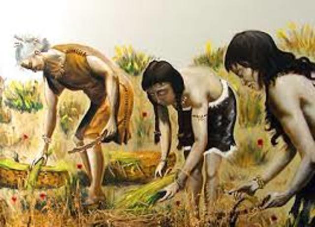 Los pueblos cazadores recolectores