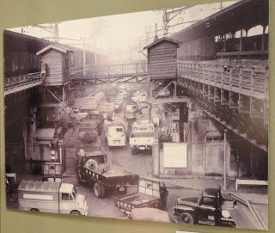 From Vegetables to Vacuum Tubes