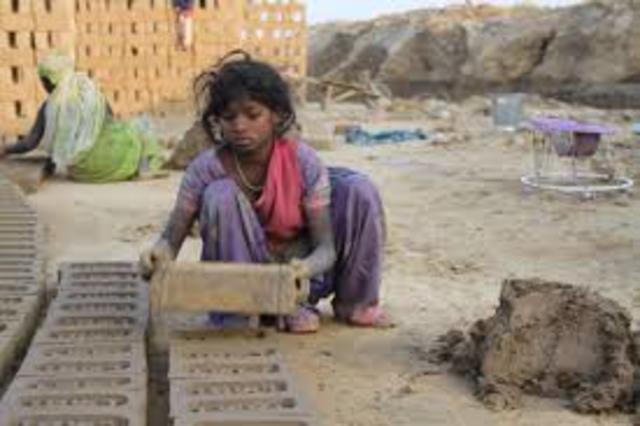 Resolución 01677 de 2008