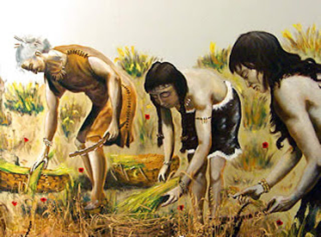 LLEGA LA AGRICULTURA