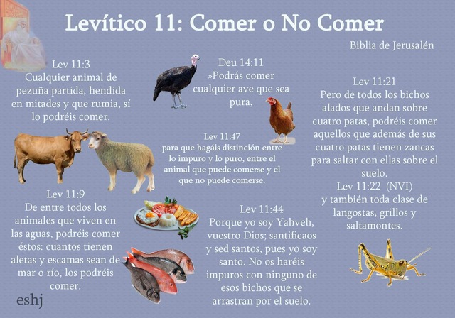 ANIMALES PUROS E IMPUROS DEL PUEBLO HEBREO