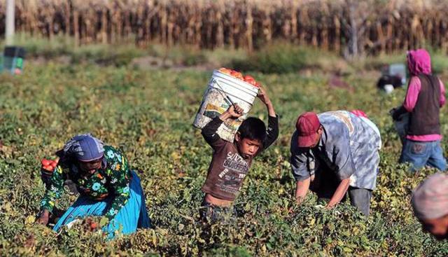 CONVENIO 182 DE LA OIT