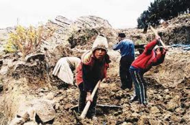 El certificado de empleo o permiso especial