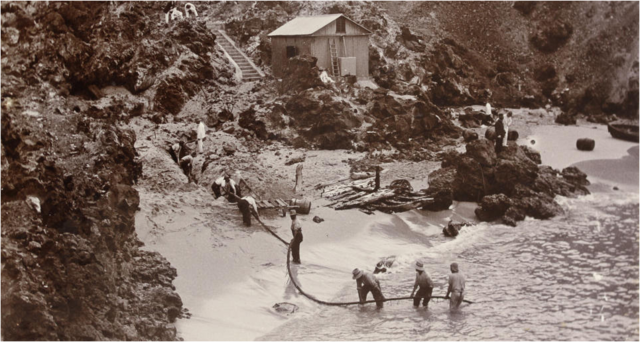 1956- Cable telefonico transatlantico