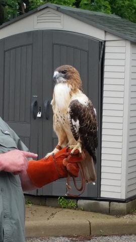 Inquiry Action Plan (Habitats, Adaptations, Evolution)