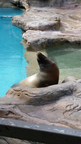 Master Plan in Action Class Began