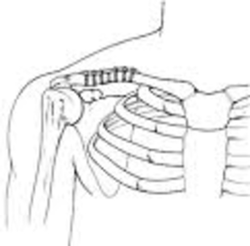 i broke my collarbone