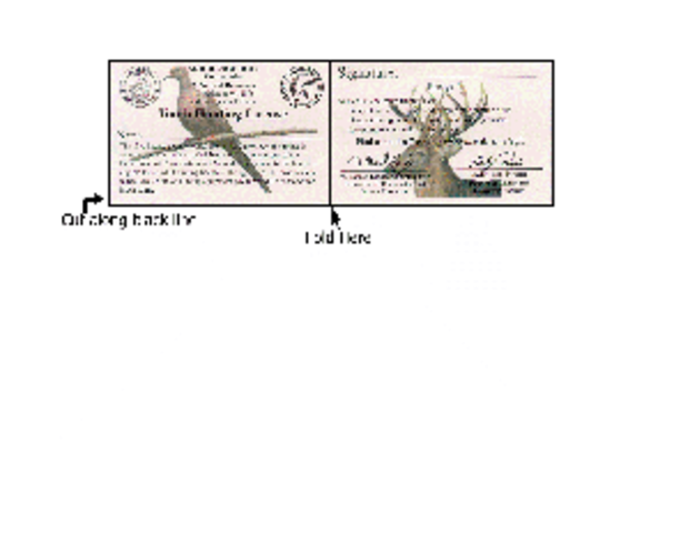 Day i get my hunting liceanse